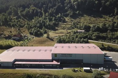 Tissu gisèle à La Bresse Grand Est(Vosges)