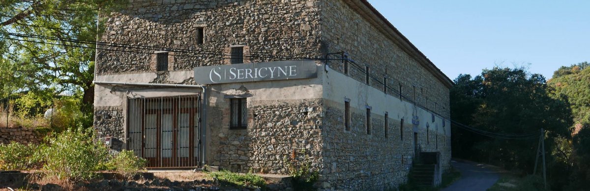 SERICYNE à Paris IDF(Arrondissement de Paris)